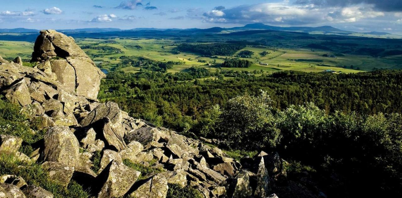 Chalet De Crouzillac Tence Экстерьер фото